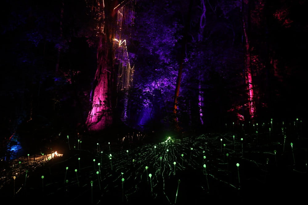 Dream Forest Langkawi