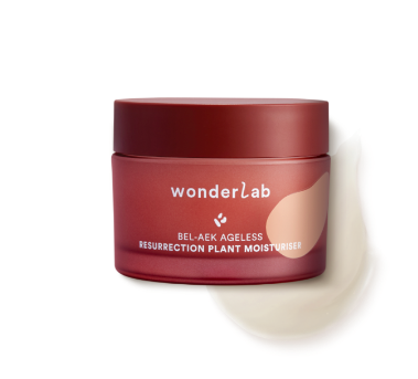 wonderlab's