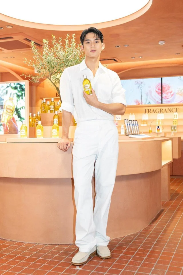 K-idol brand ambassadors 