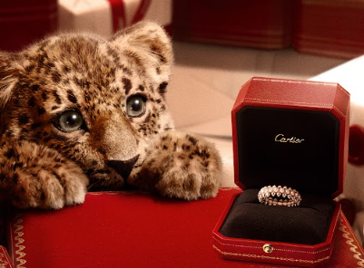 Cariter Baby Panther